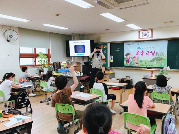 곤충의 한살이 알아보기