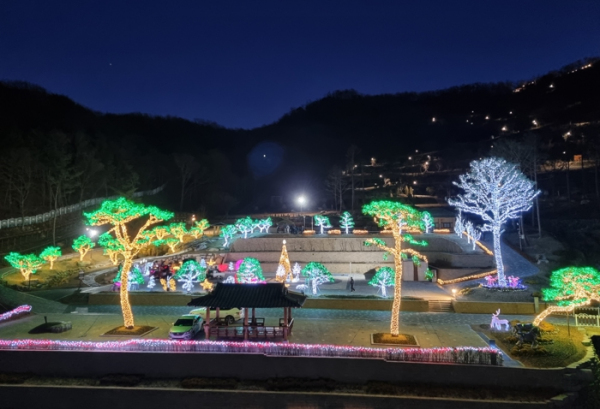강화군 화개정원, 화려한 빛의 정원으로 탈바꿈