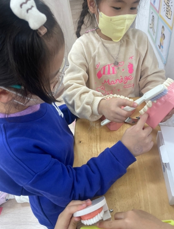아동이 모형으로 올바른 양치법을 연습하고 있다.