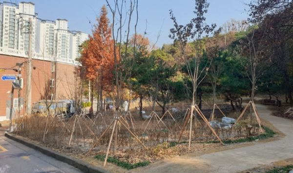숙지공원 일부가 생태숲으로 준공된 모습