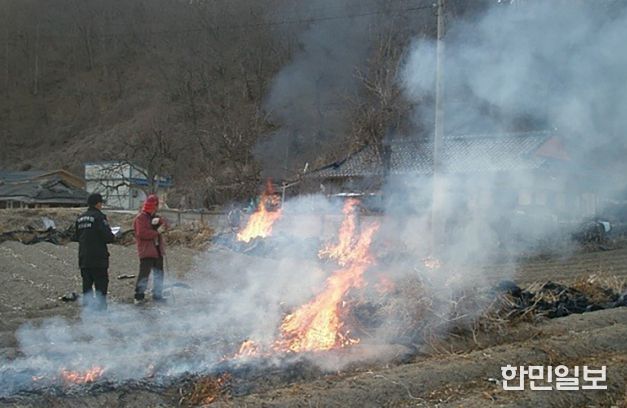불법소각 단속