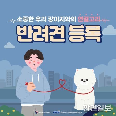 반려견 등록 자진신고