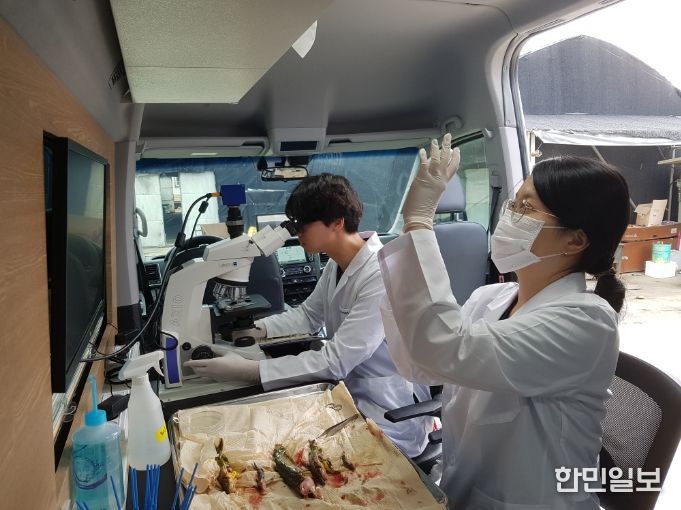 기생충 구제사업