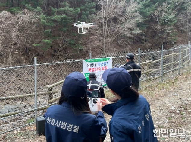 산림 내 임산물 불법채취 집중단속