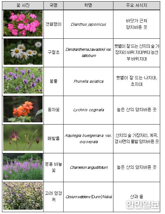 보급 자생식물 씨앗 식물 목록