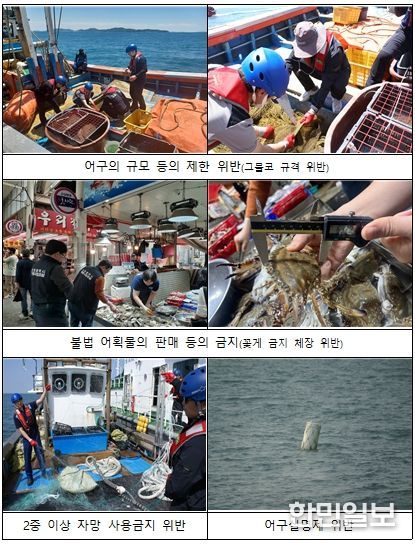 봄철 산란기 불법 어업 단속 현장 사진