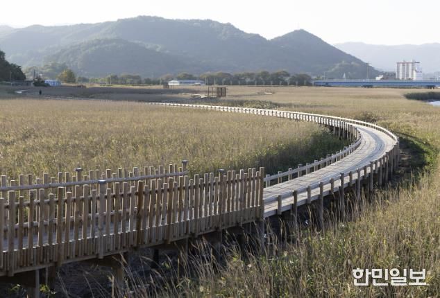 중도방죽 데크길