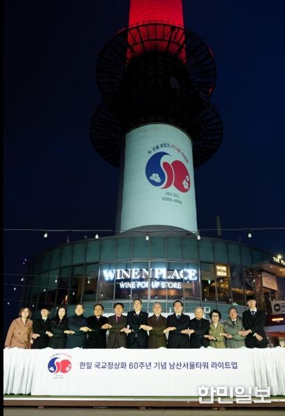 남산서울타워-도쿄타워 라이트업