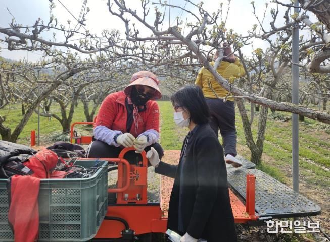 정읍시, 과수 저온 피해 예방 총력…맞춤형 생육관리 지원