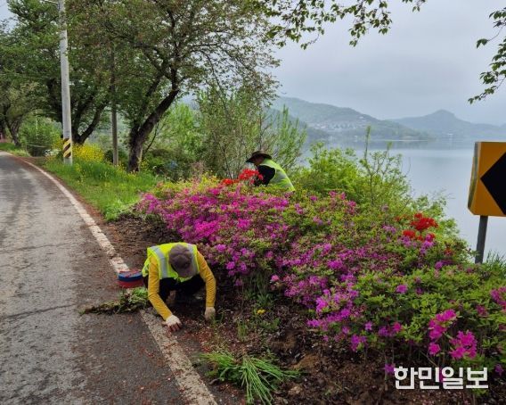 2025년 상반기 지역공동체일자리사업중 다도면 관광명소 주변 꽃길 조성 모습. (사진제공-나주시)