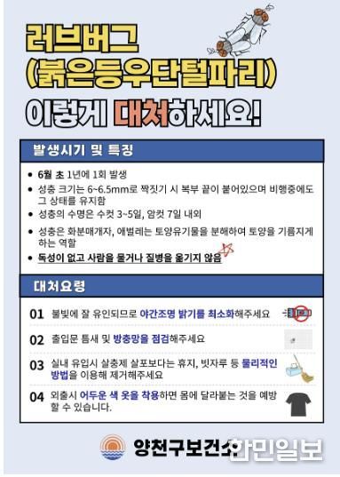 양천구, 러브버그 대처요령 안내문