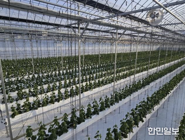스마트팜 내부사진