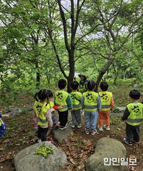 용인특례시에서 지난해 진행한 유아숲체험 프로그램 현장 사진