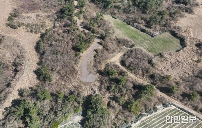'산림생태복원사업' 지역