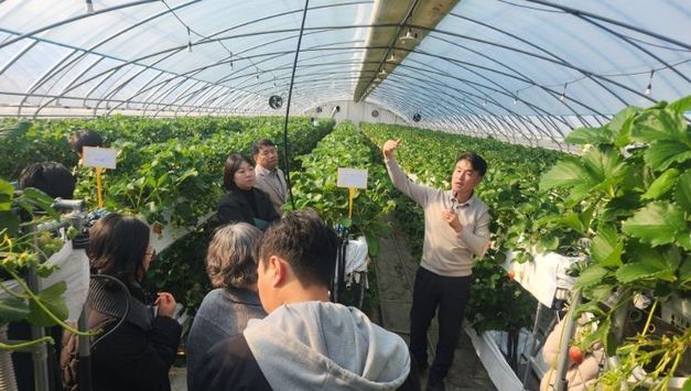 논산시 딸기 스마트재배 기술, 전국으로 확대된다