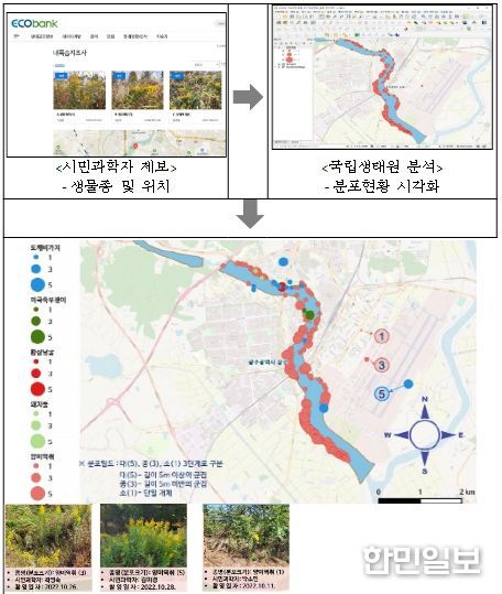 생태계교란 식물 분포지도