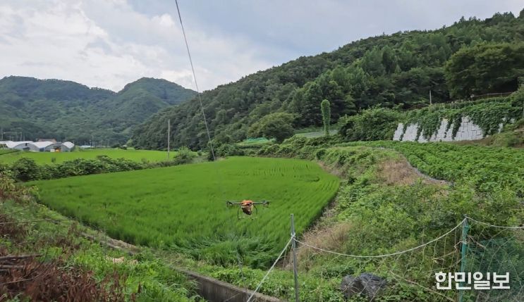 진안군, 벼멸구 확산 막는다 공동방제 실시