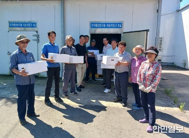 완주군, ‘조직배양 씨감자’ 공급으로 농가소득 견인