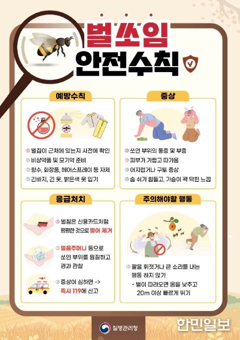벌쏘임 안전수칙 리플릿