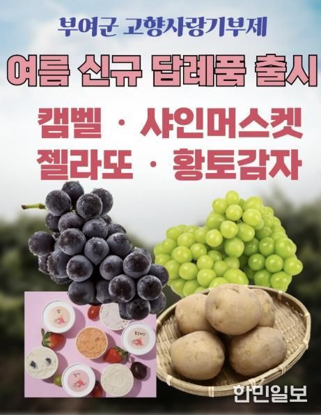 고향사랑기부제 답례품