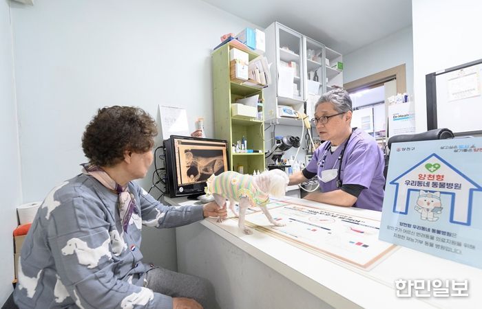 양천구, 우리동네 동물병원에서 진료를 받고 있는 반려견 가족