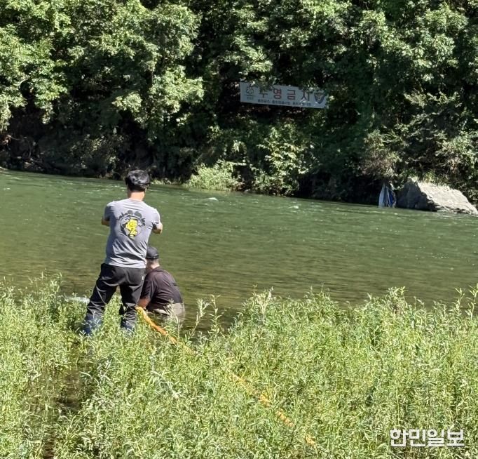 홍천군, 내수면 생태계 보전을 위한 어린 동자개 종자 방류