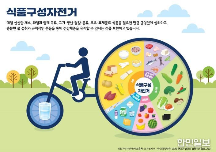 한국영양협회 식품구성자전거