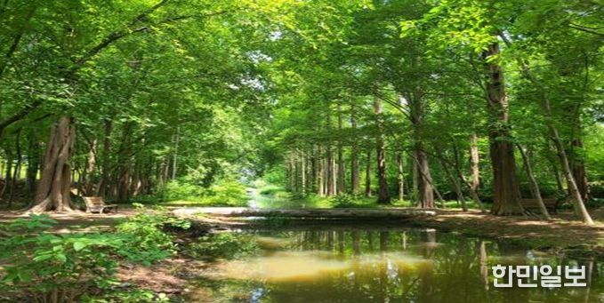 경주 경북천년숲정원