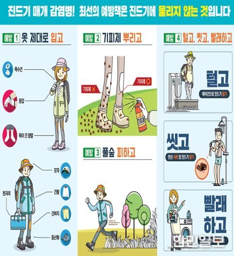 광주광역시, 쯔쯔가무시증 10∼11월 80% 발생…야외활동 주의