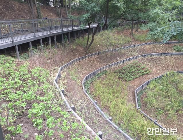 온수근린공원 문학지구에 조성된 ‘연결 숲길’의 데크로드와 데크로드 아래 사면안정을 위해 식재된 관목 등의 모습
