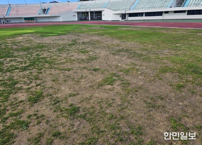 오버시딩 전 밀양시종합운동장 축구장 잔디 전경