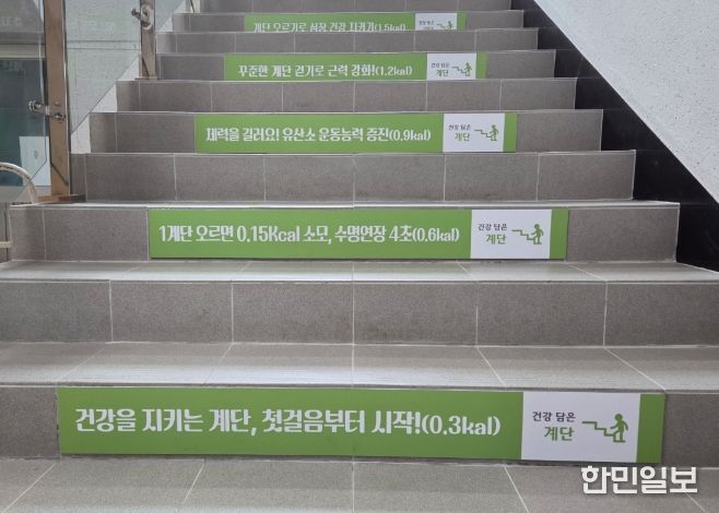 건강 계단