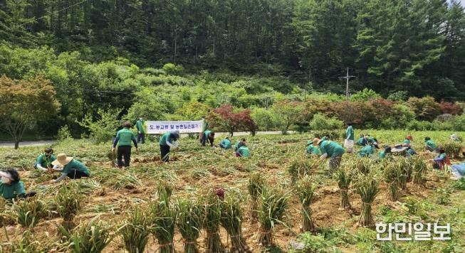 서울새마을부녀회 활동 사진