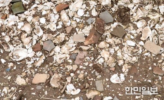 군산시 소재 패총유적 학술조사연구