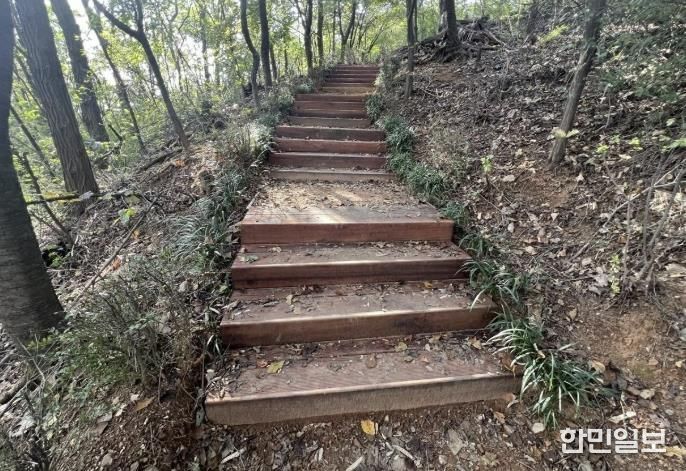 서대문구가 8∼10월 시행한 관내 궁동산 등산로 정비 후 모습