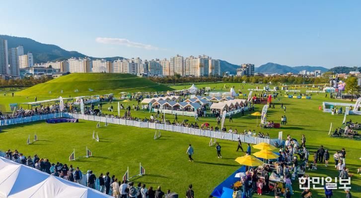 2025년 반려동물 문화한마당 행사장 전경
