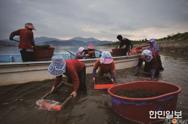 광양시, 세계중요농업유산 등재‧