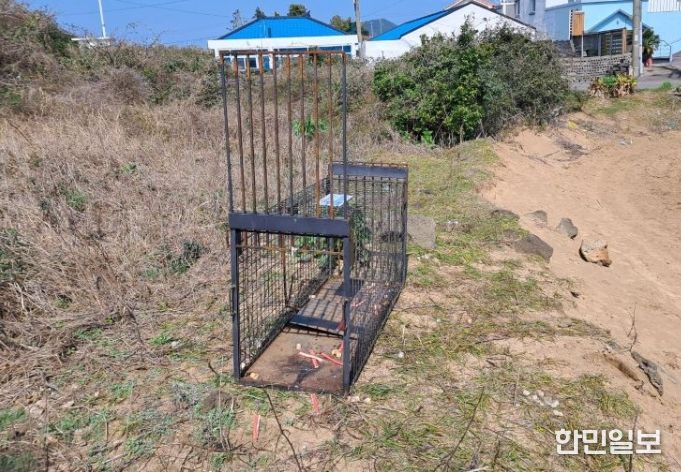 유기견·방견 포획틀