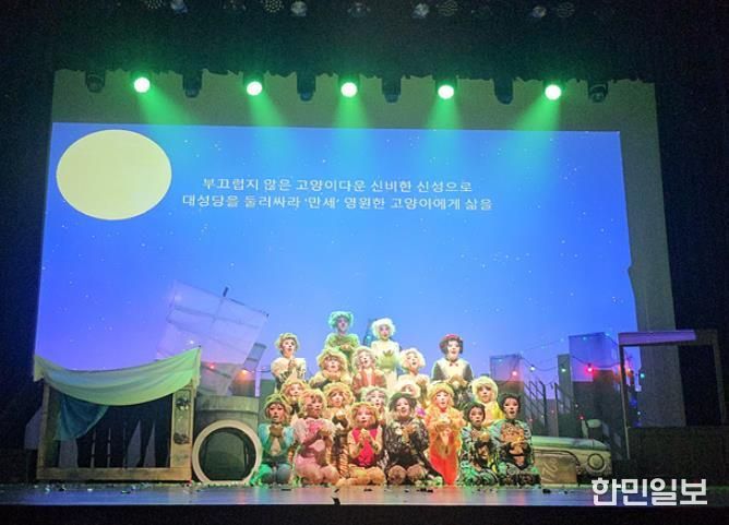 동래문화교육특구, 어린이 영어 뮤지컬단 '캣츠' 공연으로 감동 선사