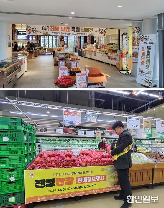 김해시, 진영단감 온·오프라인 판촉행사 개최