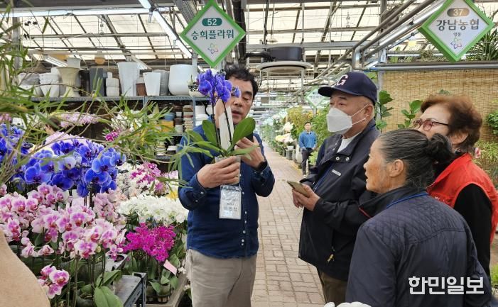 ‘양재동 꽃시장’ 현장 체험 사진
