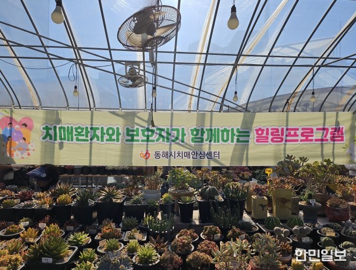 가을맞이 자연과 함께하는‘야외 힐링프로그램’운영