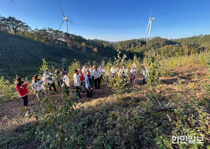 한몽그린벨트사업 한국연수단 견학(목재수확 조림지)