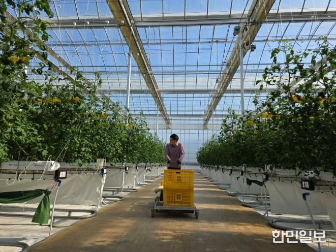 남원시, 26년 청년창업 스마트팜 패키지 지원사업 예산확보