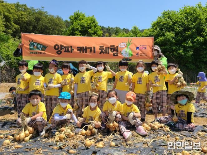 양파 캐기 체험 사진