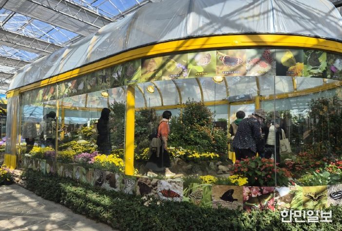 국향 속 나비의 날갯짓…함평군, 생태축제의 새 장 열다