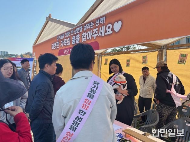 부안군, 유기동물 입양 홍보부스 운영
