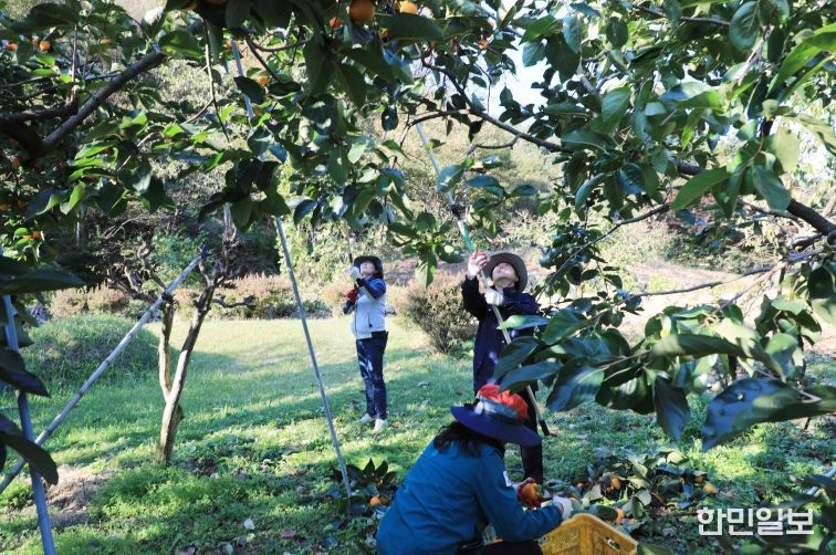 함양군 2025 하반기 농촌일손돕기