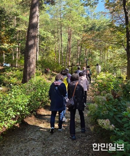 태백시, 치매환자·보호자 야외치유 프로그램 운영