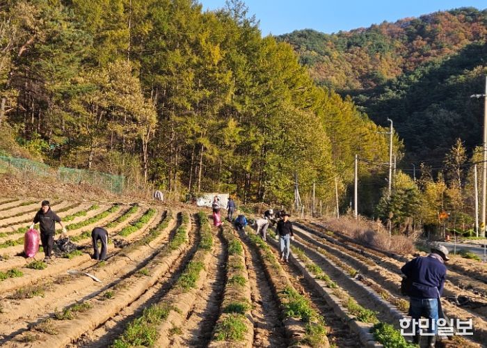 제천교육지원청“공감 동행”하반기 봉사활동 실시
